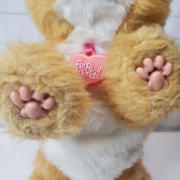 Hasbro FurReal Friends Animated Orange Daisy Plays With Me Kitty Cat Plush Toy - Picture 4 of 10